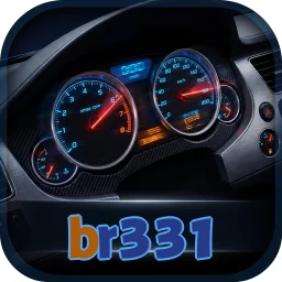 br331